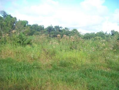 Terreno para Venda, em Itanham, bairro Chcaras Cibratel