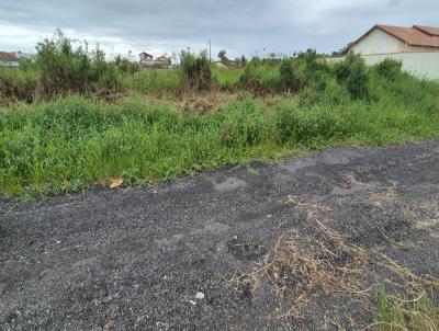 Terreno para Venda, em Itanham, bairro Cibratel I